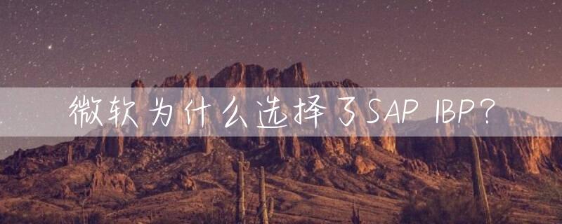 微软为什么选择了SAP IBP？